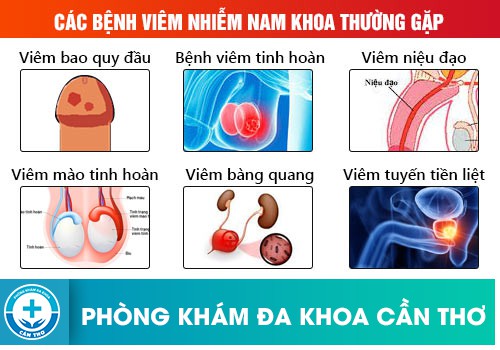 Tổng Hợp Những Bệnh Thường Gặp Ở Dương Vật