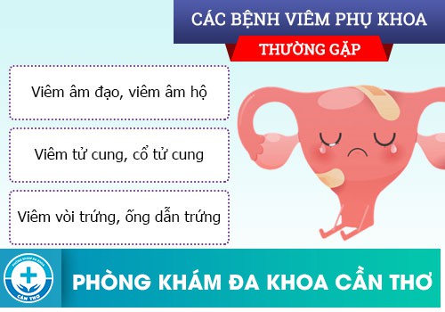 Những Bệnh Xã hội Nguy Hiểm Có Thể Dẫn Tới Vô Sinh Nữ