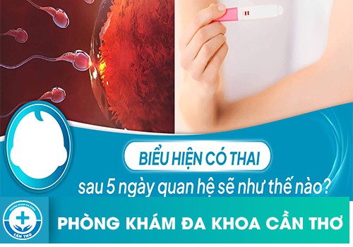 Biểu Hiện Có Thai Sau 5 Ngày Quan Hệ