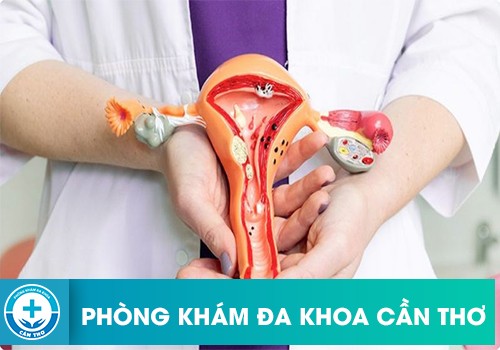 Cách Trị Vùng Kín Bị Ngứa Và Có Dịch Trắng Hiệu Qủa