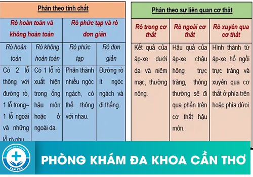 Tổng Hợp Các Dạng Rò Hậu Môn Thường Gặp