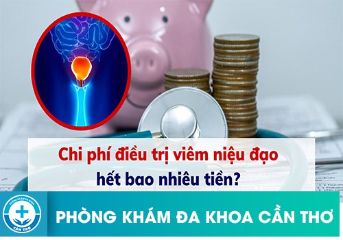 Chi Phí Chữa Trị Viêm Niệu Đạo Bao Nhiêu?