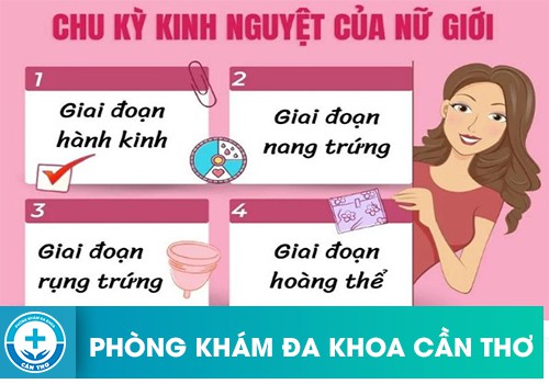 chu-ky-kinh-nguyet-24-ngay-co-binh-thuong-khong