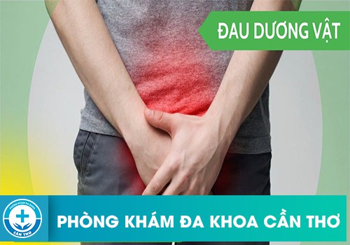 Đầu dương vật bị đau khi đi tiểu nguyên nhân da đầu?