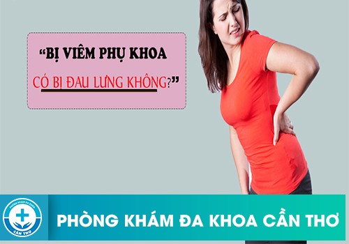 Thường Xuyên Đau Lưng Có Phải Là Viêm Phụ Khoa?