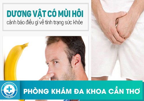 Dương vật có mùi hôi khó chịu