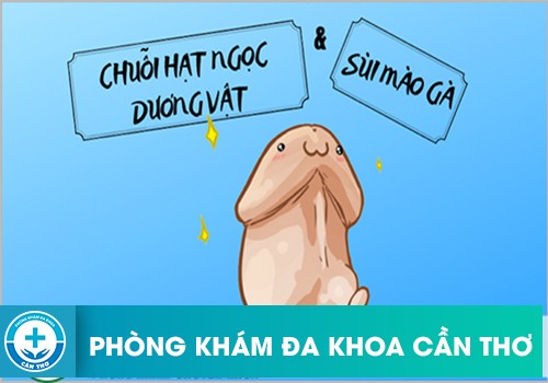 Cách điều trị sùi mào gà và chuỗi hạt ngọc dương vật