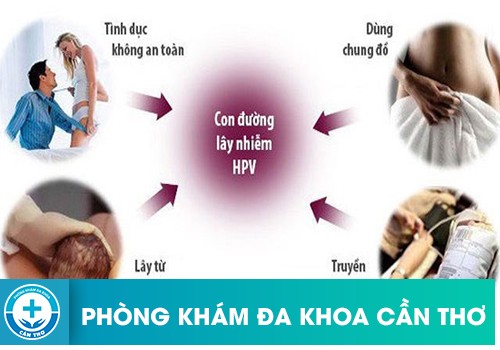 Virus HPV lây truyền qua đường nào 