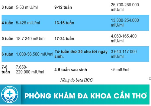 Dựa vào kết quả chỉ em sẽ biết được có mang thai hay không