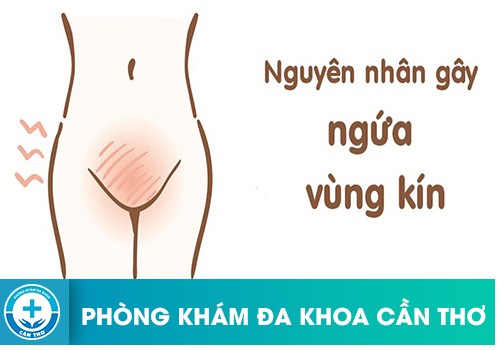 Nguyên nhân gây ngứa vùng kín ở nữ