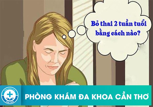 thai 2 tuan tuoi pha bang cach nao an toan