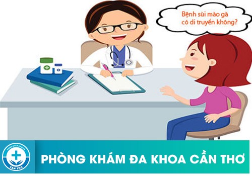 Bệnh Sùi Mào Gà Có Tính Di Truyền Không?