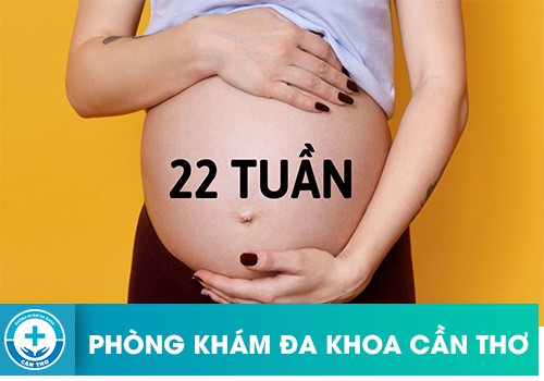 thai-22-tuan-co-pha-duoc-khong