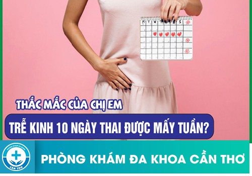 Trễ Kinh 10 Ngày Thai Được Mấy Tuần Tuổi ?