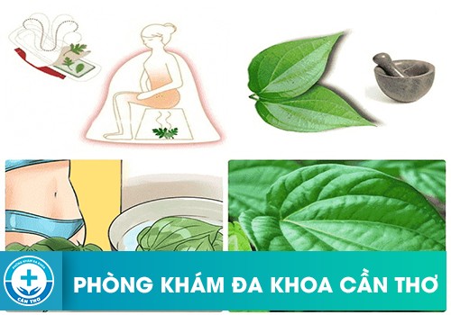 Trị ngứa vùng kín bằng phương pháp dân gian