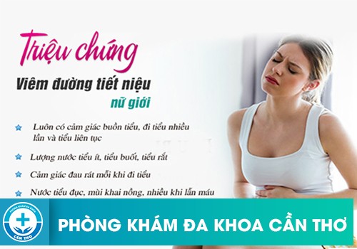 Viêm Đường Tiết Niệu Có Ra Mủ Không?