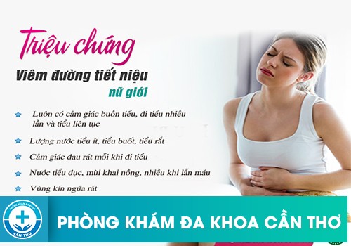 Triệu Chứng Viêm Đường Tiết Niệu