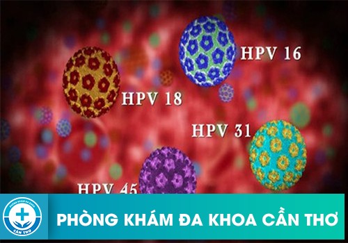 Virus Hpv Sinh Dục Là Gì 