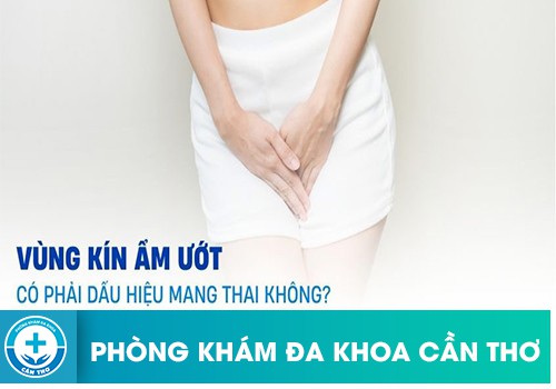 Vùng kín ẩm ướt có phải dấu hiệu mang thai không?