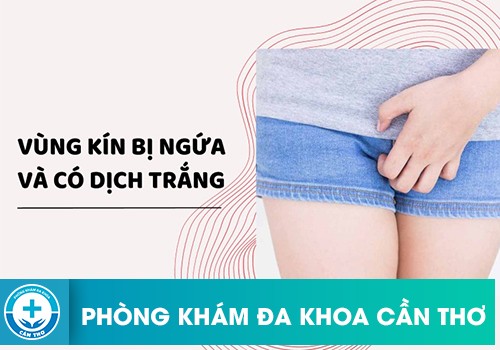 Tại Sao Vùng Kín Bị Ngứa Và Có Dịch Trắng?